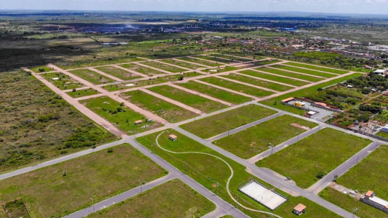 Terreno - Venda - Novo Horizonte - Feira de Santana - BA