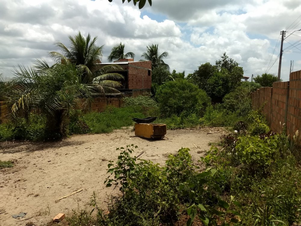 Terreno - Venda - Mangabeira - Feira de Santana - BA